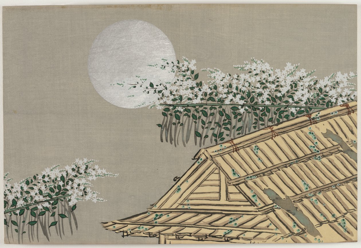 百世之花（桃之草）：秋之花 作者 神坂积家