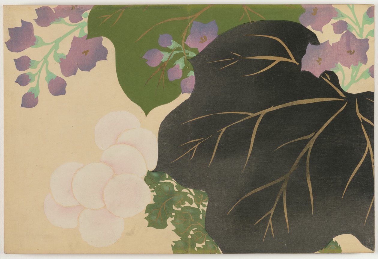 百世花卉（桃源草）：菊花和泡桐（菊切） 作者 神坂积家