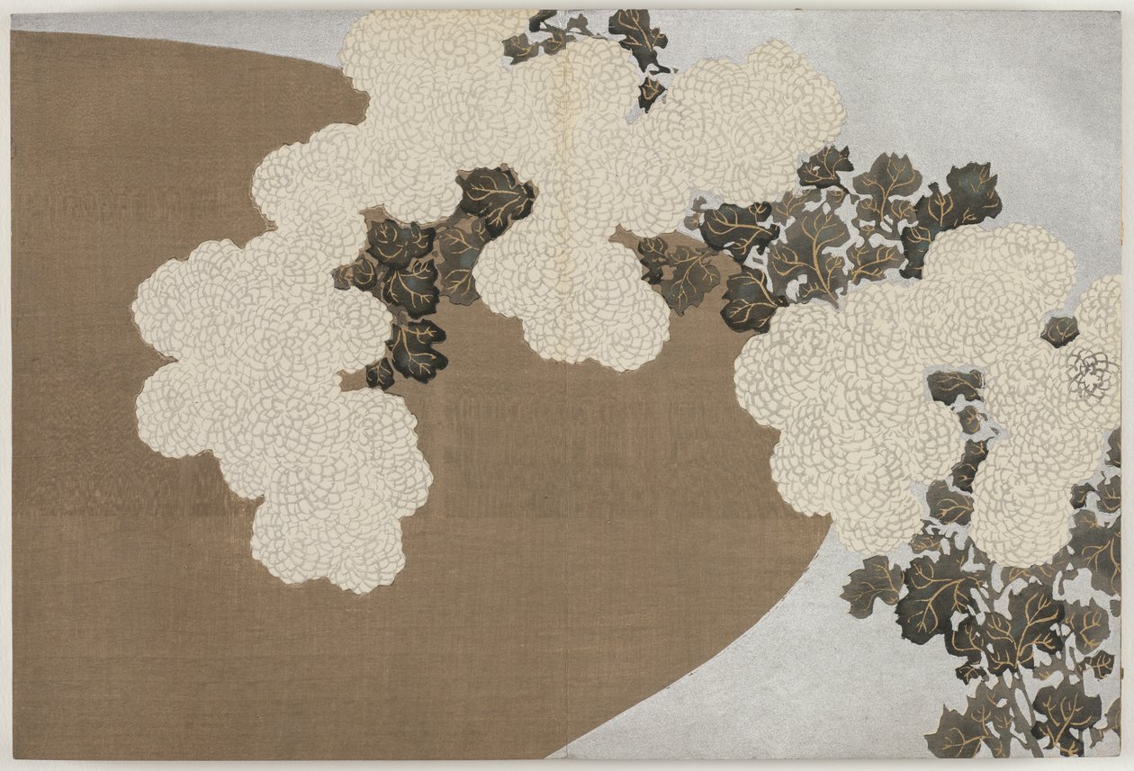 百世花卉（百草）：菊花（百草） 作者 神坂积家