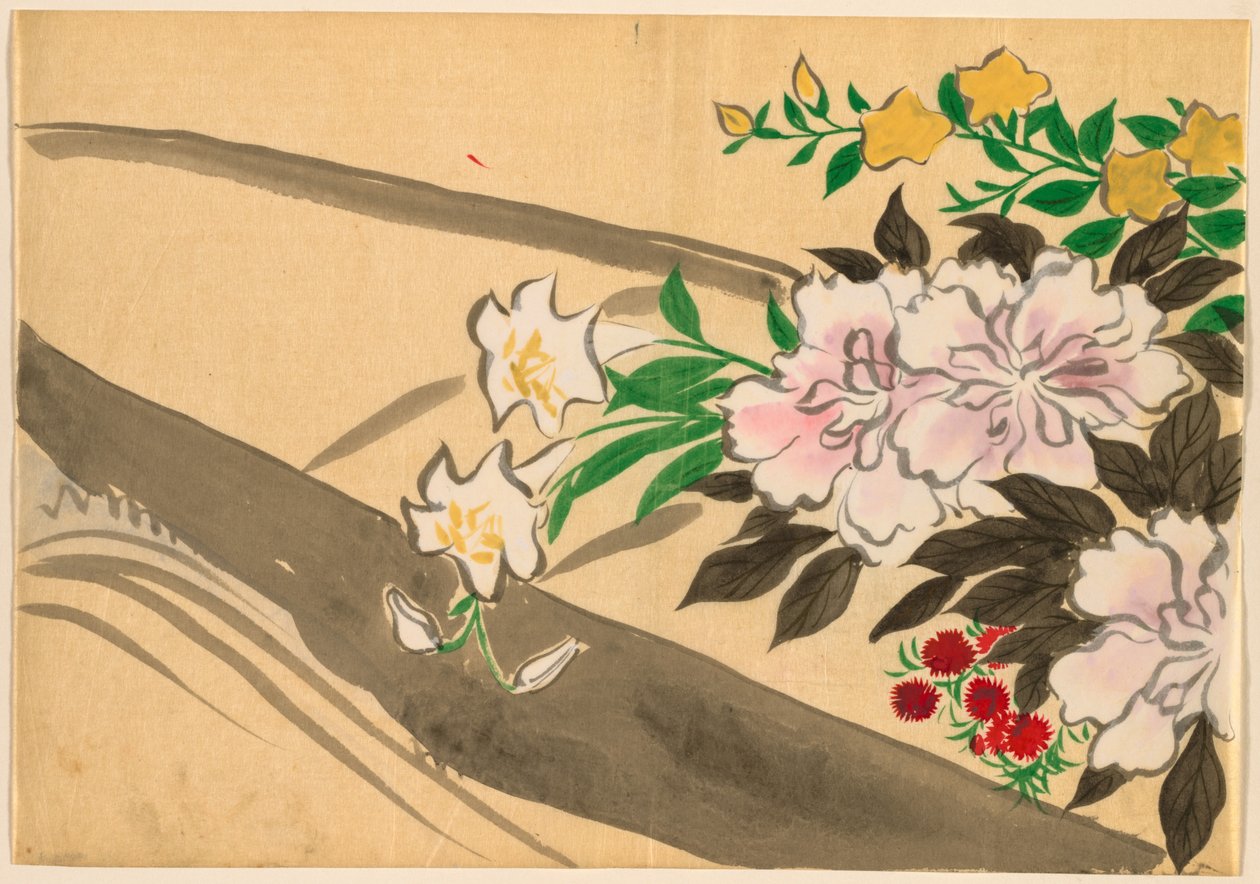 百世花卉（百草）：花船 作者 神坂积家