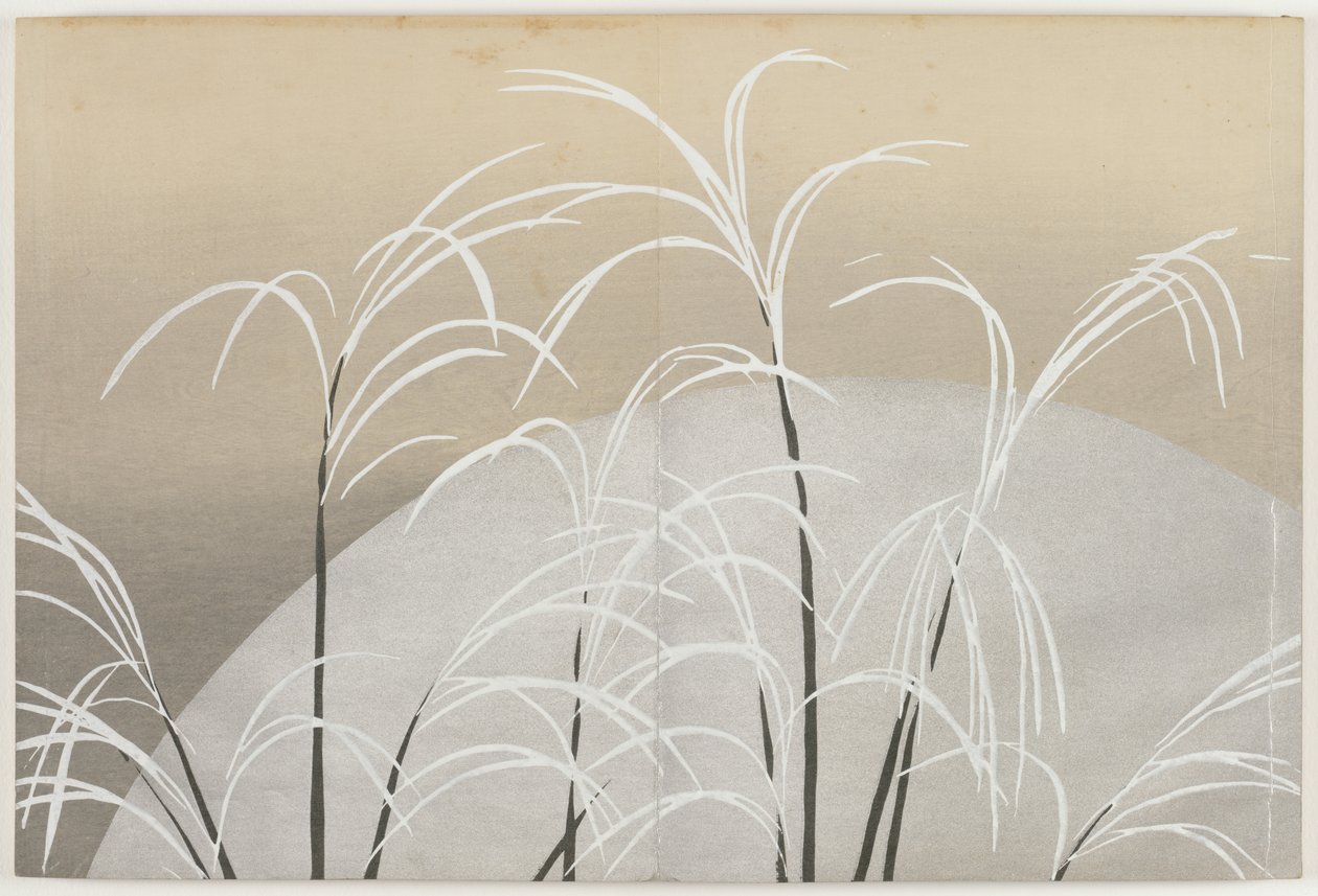 百世之花（桃源草）：月光下的素雪草 (Obana ni tsuki) 作者 神坂积家