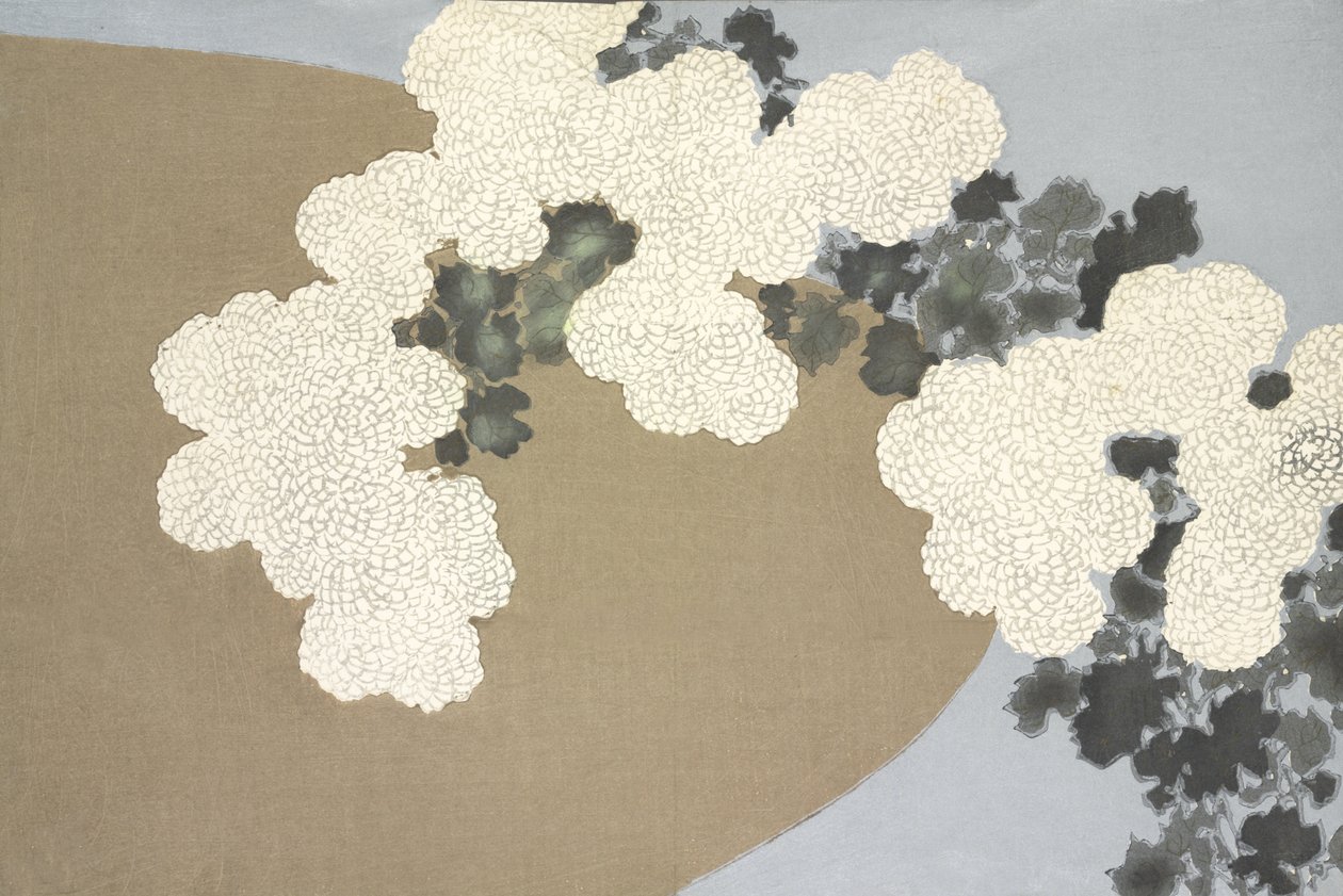Momoyo-Gusa，来自Momoyo 作者 神坂积家