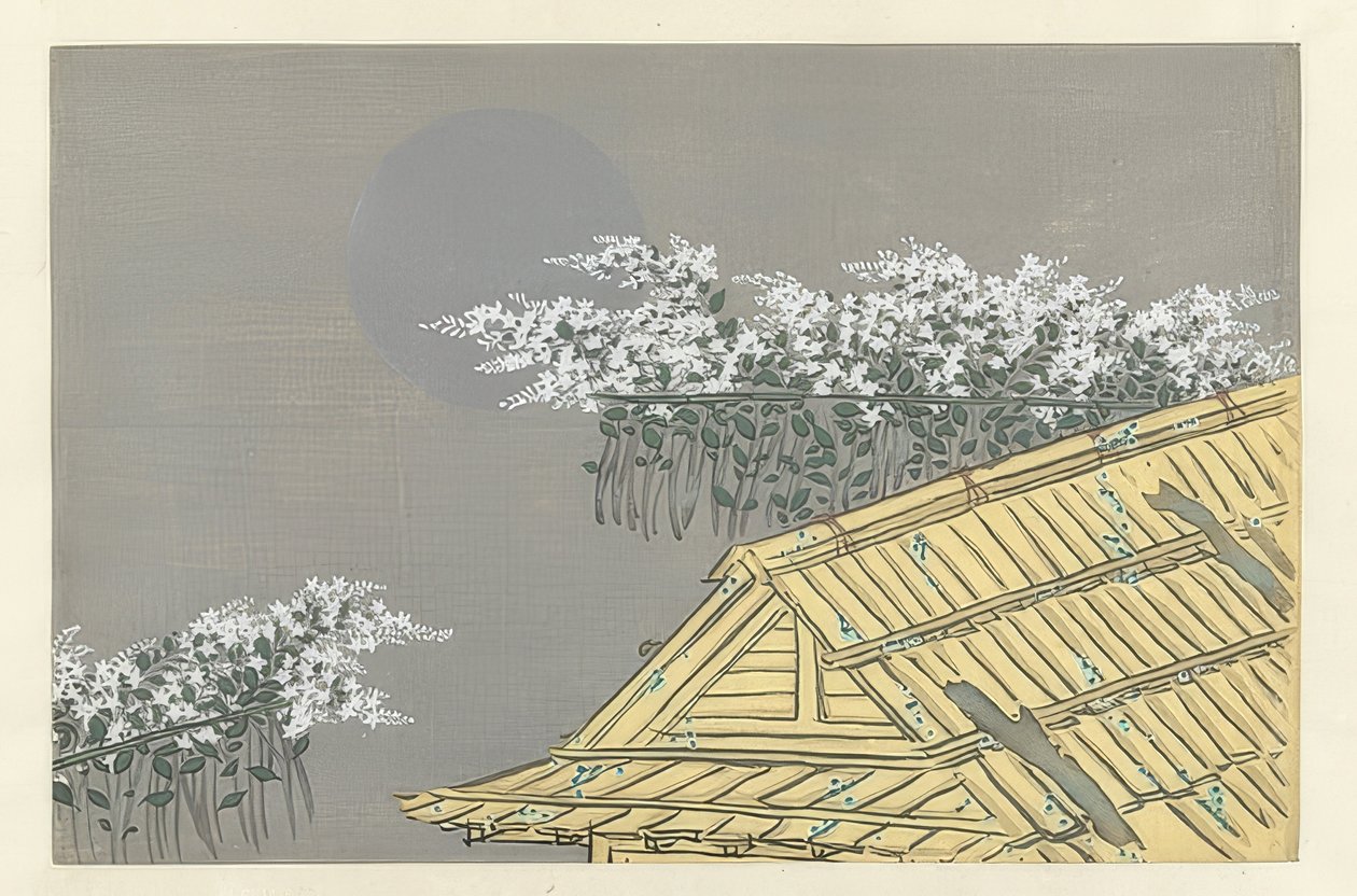 在房子的白花分支。 1909年 作者 神坂积家