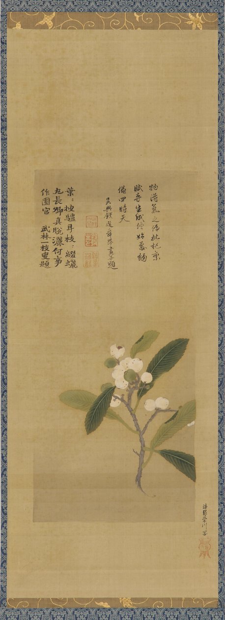 一枝枇杷，江户时期，18世纪。 作者 鹿野仙人院道信