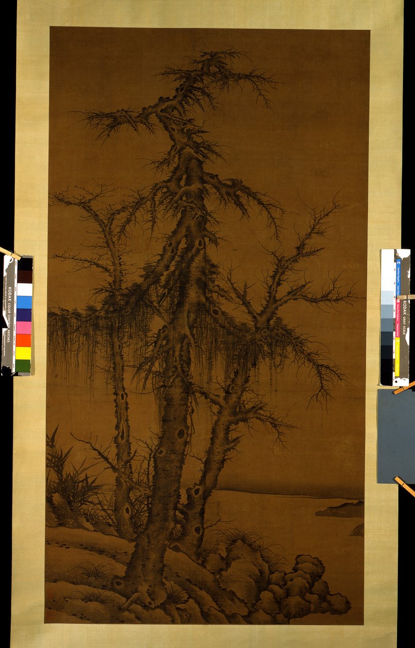 古树、竹子和岩石，约 1300 年（绢本水墨） 作者 李侃