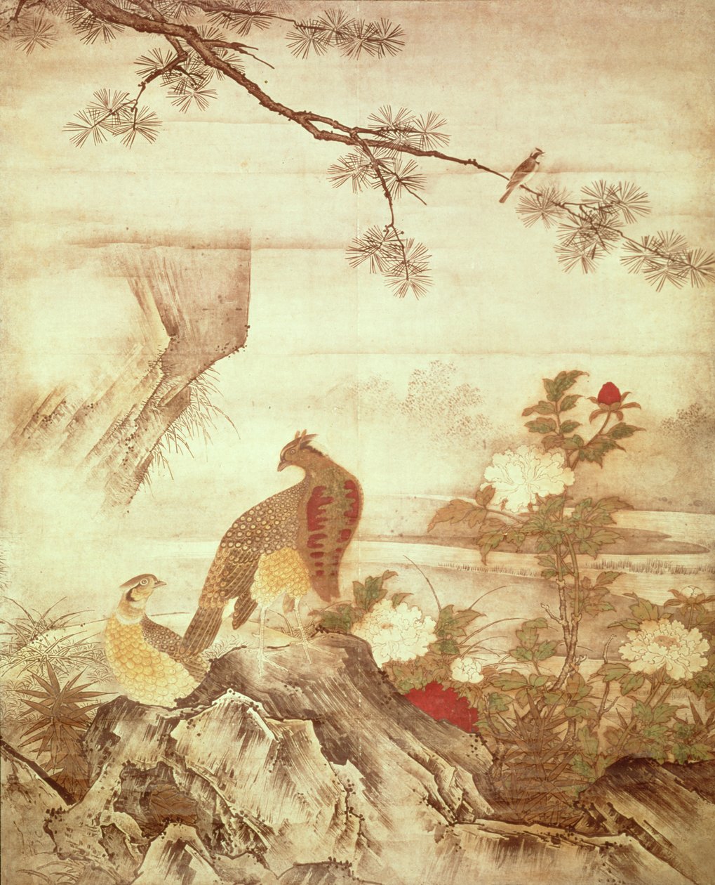 野鸡和牡丹，来自一系列卷轴，代表四季，室町时代的鸟类和花朵（墨水和纸上洗） 作者 卡诺·元信