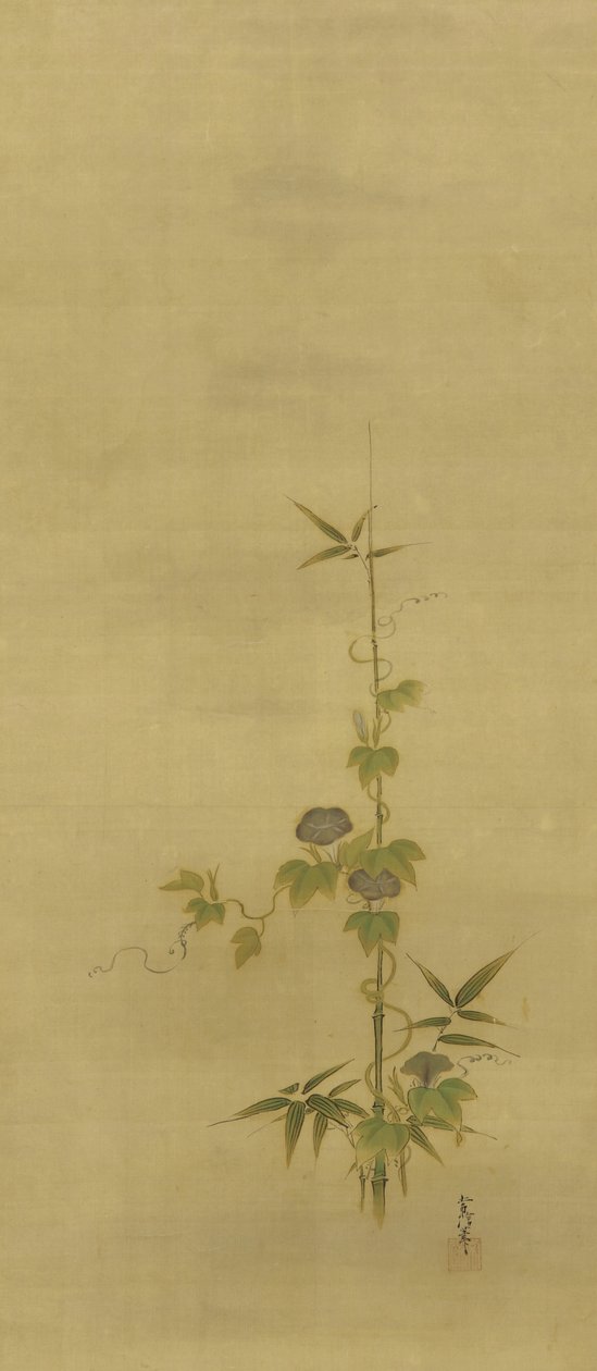 竹子和牵牛花，江户时代，17世纪中叶至18世纪初（丝绸上的墨水和颜色） 作者 鹿野常伸
