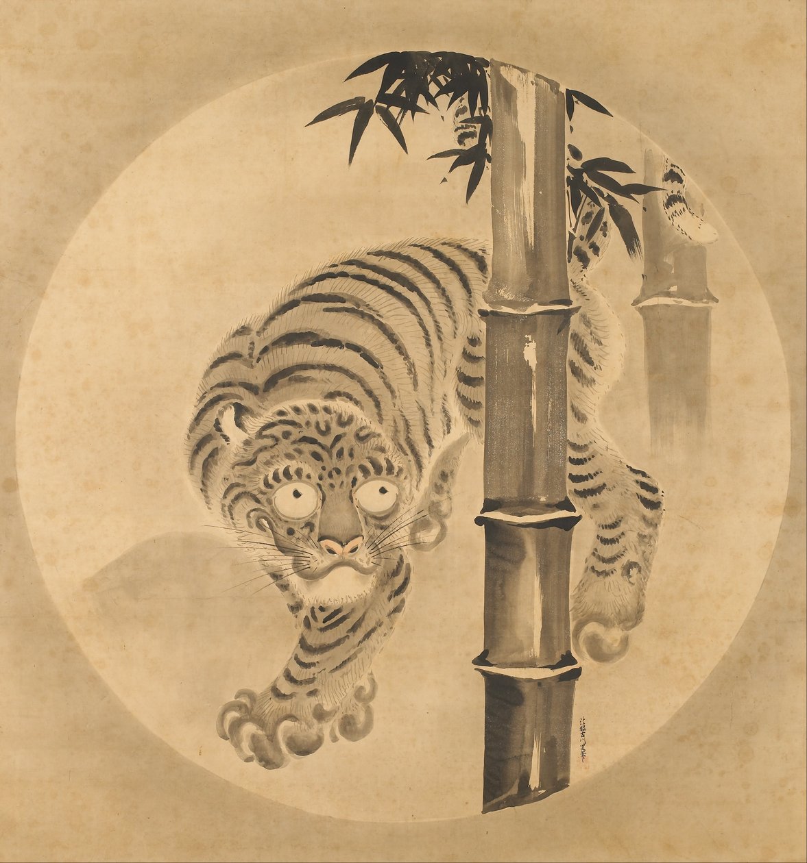 从竹子里出现的老虎 作者 鹿野常伸