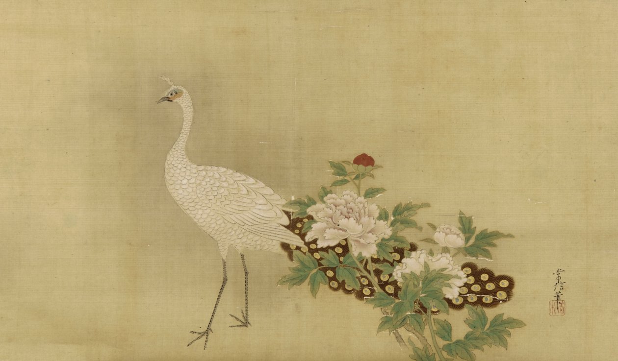 白色孔雀和牡丹，江户时代，17世纪中叶 -  18世纪初（丝绸上的墨水，颜色和金色） 作者 鹿野常伸