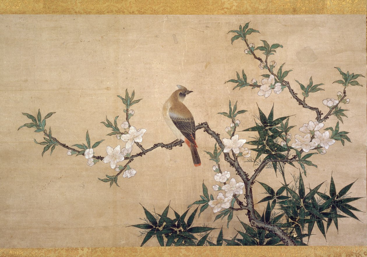 桃花鸟，1550-60（纸上水彩） 作者 卡诺雪信