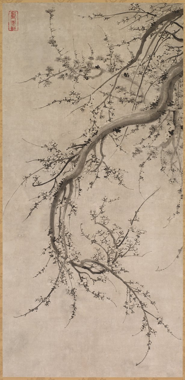 梅花，17世纪。 作者 卡诺A
