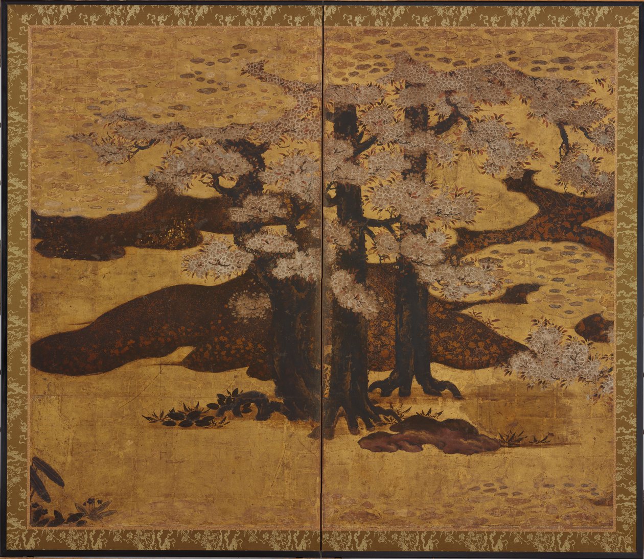 开花的樱花树，江户时期，约1580-1635。 作者 狩野山乐