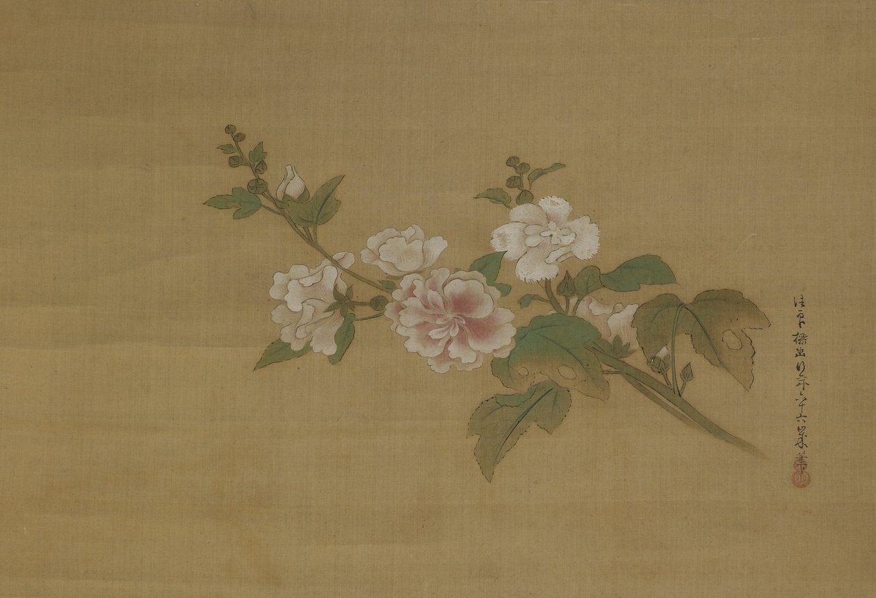 开花木槿的一个分支，江户时代（丝绸上的颜色） 作者 鹿野