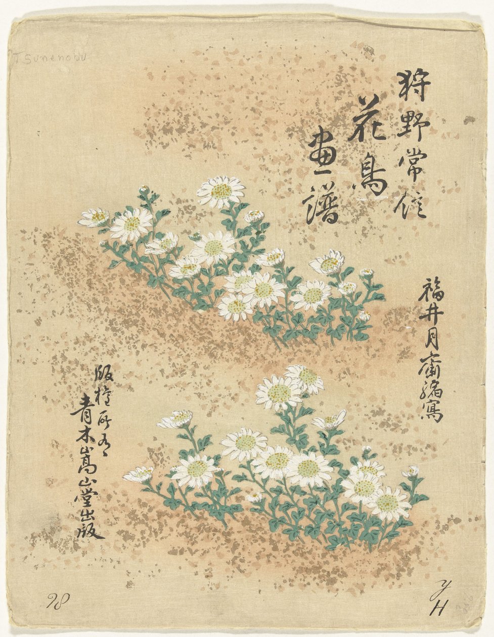 目录
狩野常信的花鸟素描（系列标题）
Kano Tsunenobu kacho gafu（实物上的系列名称） 作者 鹿野常伸