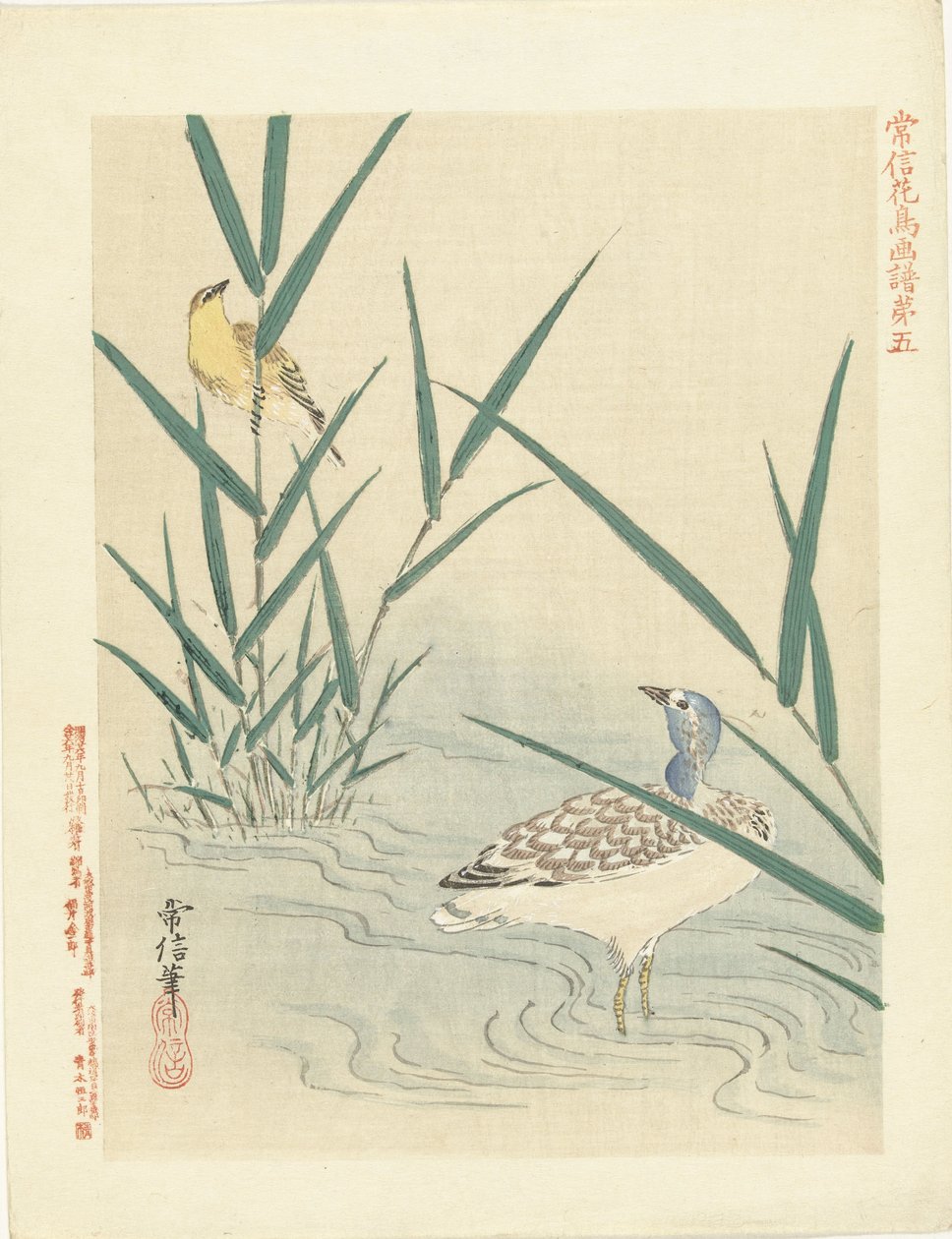 水鸟观黄莺
狩野常信的花鸟素描（系列标题）
Kano Tsunenobu kacho gafu（物体上的系列标题） 作者 鹿野常伸