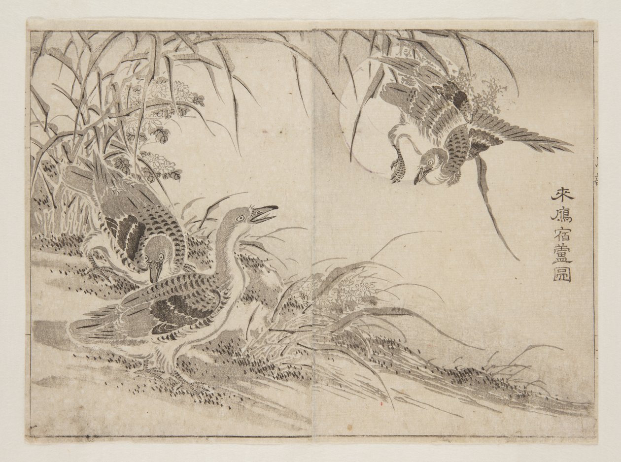 生活在芦苇丛中的大雁（彩色木刻版画 作者 观世斋