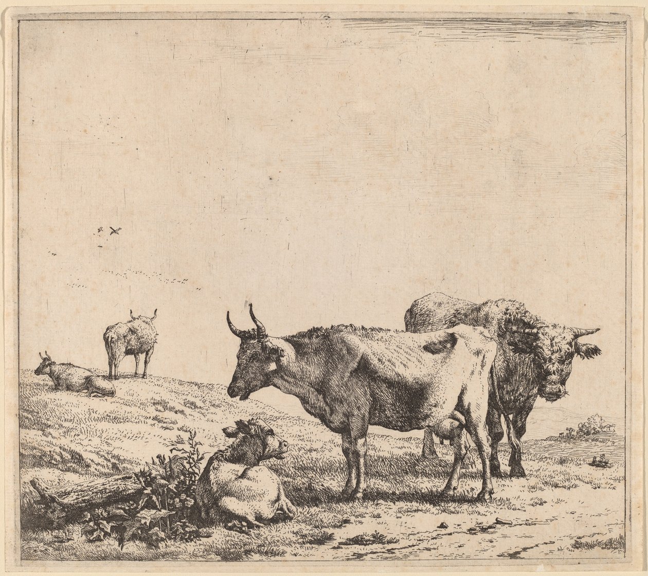 奶牛、公牛和小牛 作者 卡雷尔·杜哈丁（Karel Dujardin）