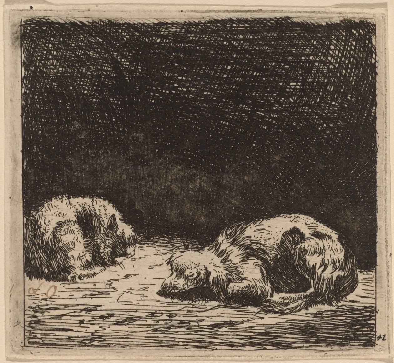 猫狗 作者 卡雷尔·杜哈丁（Karel Dujardin）