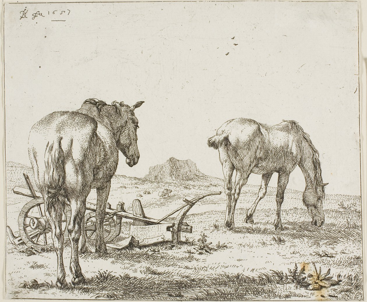 犁旁的两匹马 作者 卡雷尔·杜哈丁（Karel Dujardin）