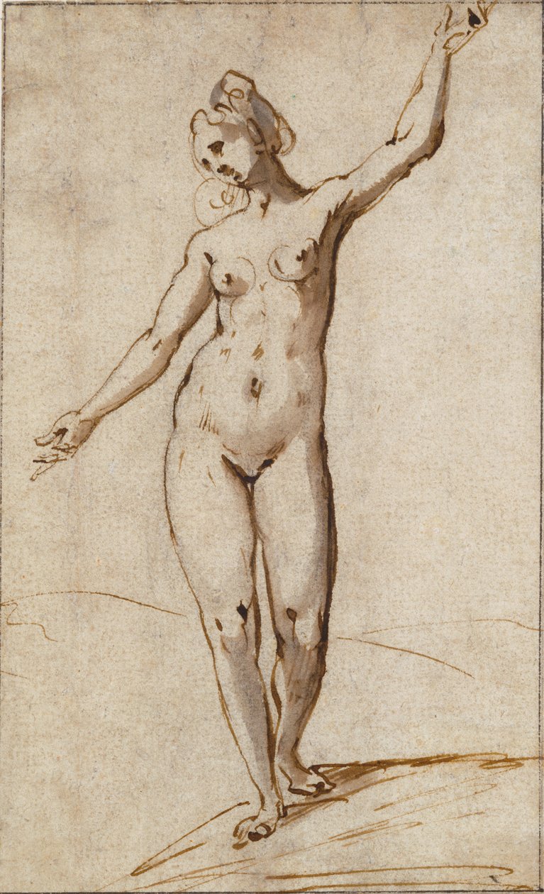 女性裸体 作者 卡雷尔·范·曼德（Karel Van Mander）