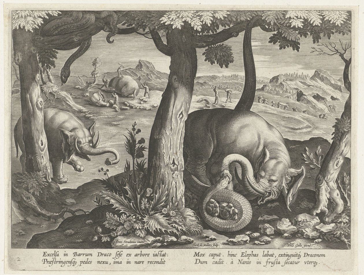 Olifant in gevecht met slang Jachttaferelen (series title) Venationes Ferarum, auium, piscium pvgnae Bestiariorum (series title)   1407910   zh       chinese Successfully Translated  Original: Relief Design of a Seated Female Figure Translat: Relief Design 作者 卡雷尔·范·马勒里（归因于）