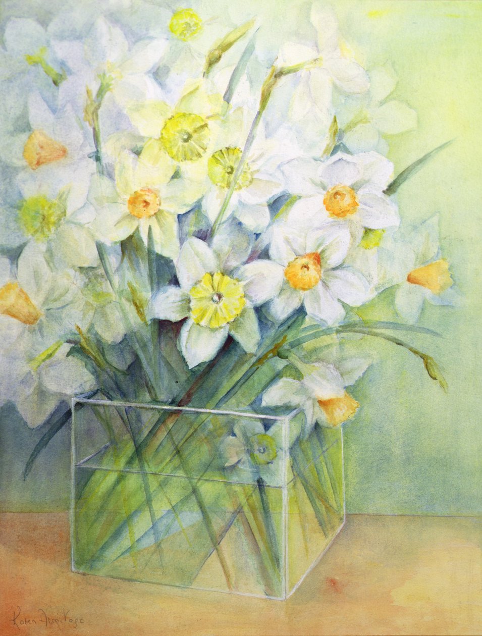 Jonquils在玻璃花瓶中 作者 卡伦·阿米蒂奇（Karen Armitage）