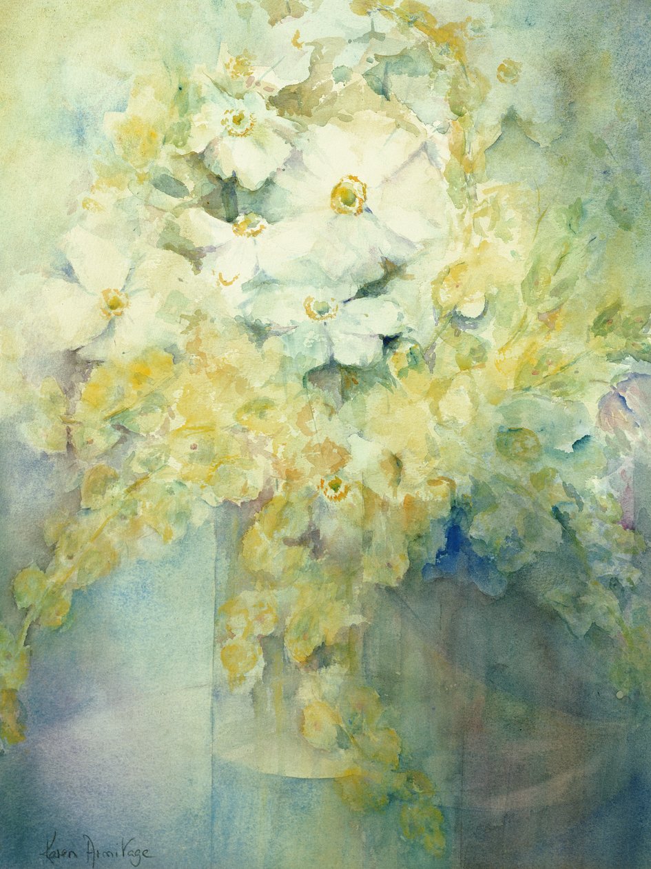 银莲花 - 白女王和摩卢 作者 卡伦·阿米蒂奇（Karen Armitage）