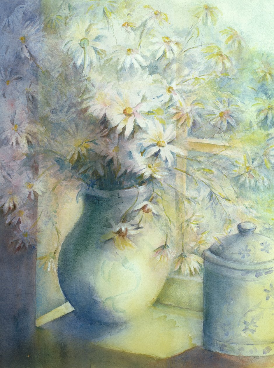 紫苑 - 在窗台上的水罐中的Snowsprite 作者 卡伦·阿米蒂奇（Karen Armitage）
