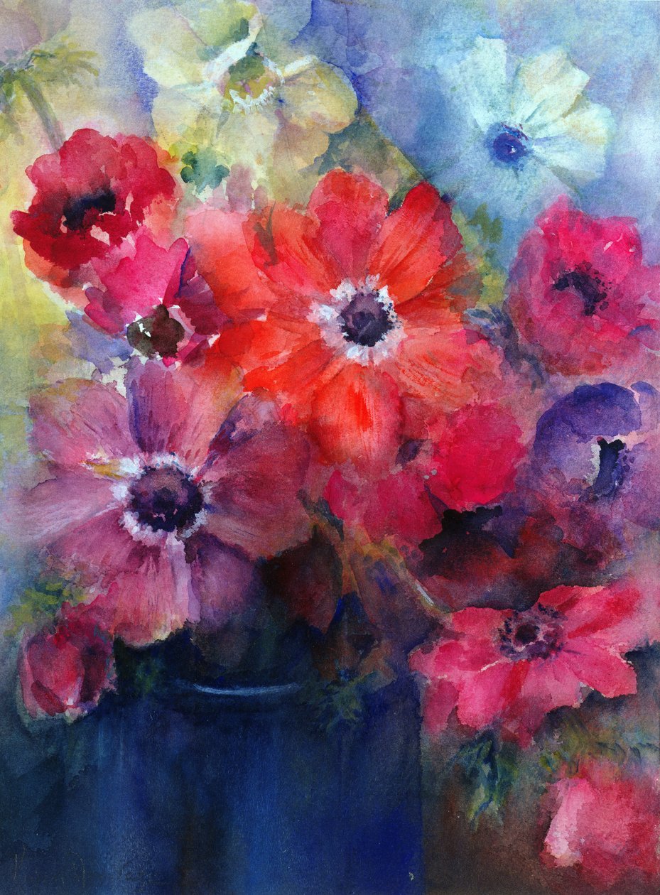卡昂海葵在一个蓝色的水罐 作者 卡伦·阿米蒂奇（Karen Armitage）