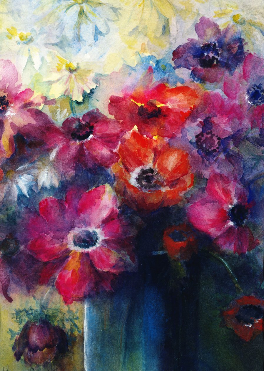 卡宴海葵与雏菊 作者 卡伦·阿米蒂奇（Karen Armitage）