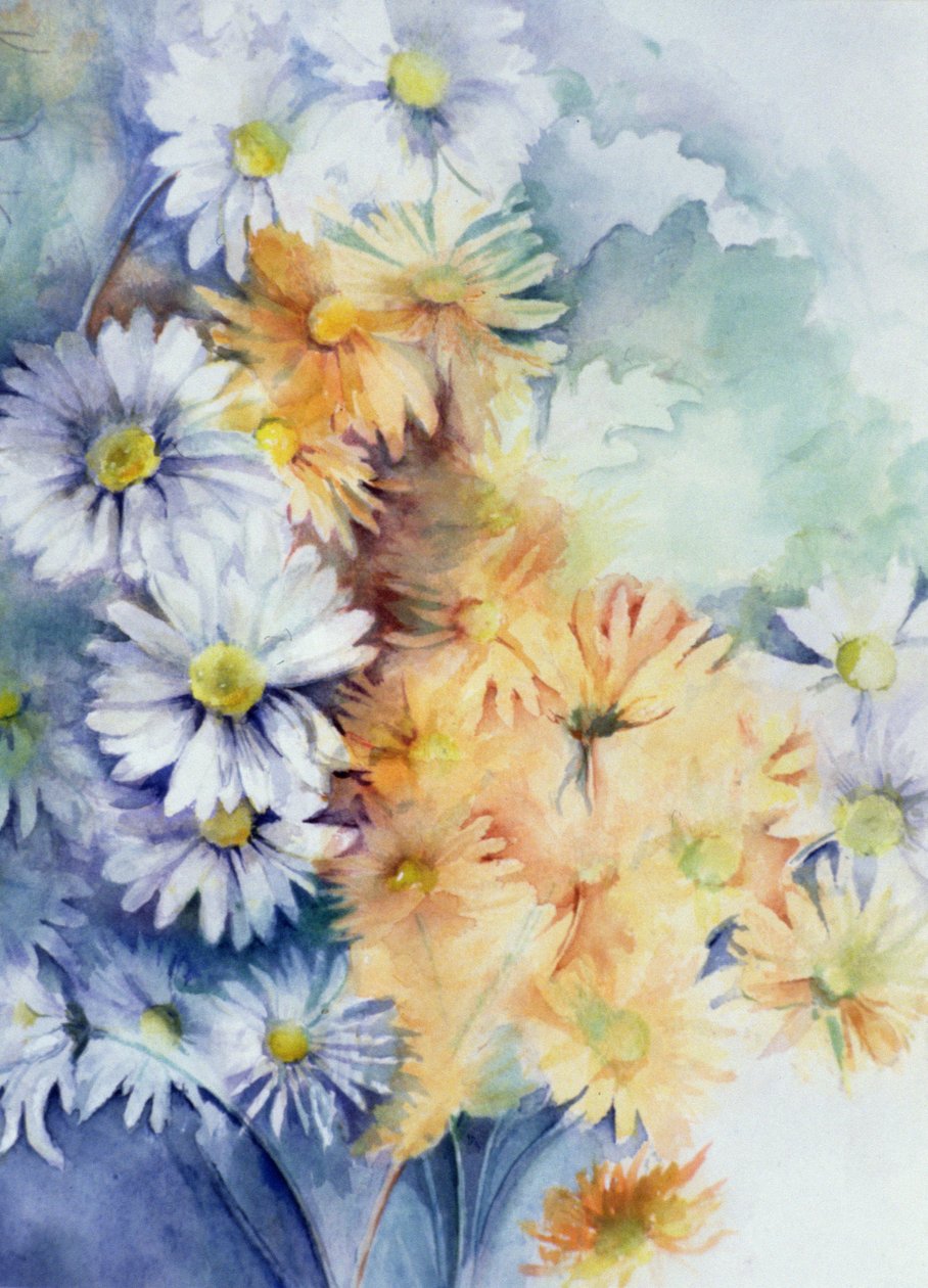 菊花，白色和杏色 作者 卡伦·阿米蒂奇（Karen Armitage）