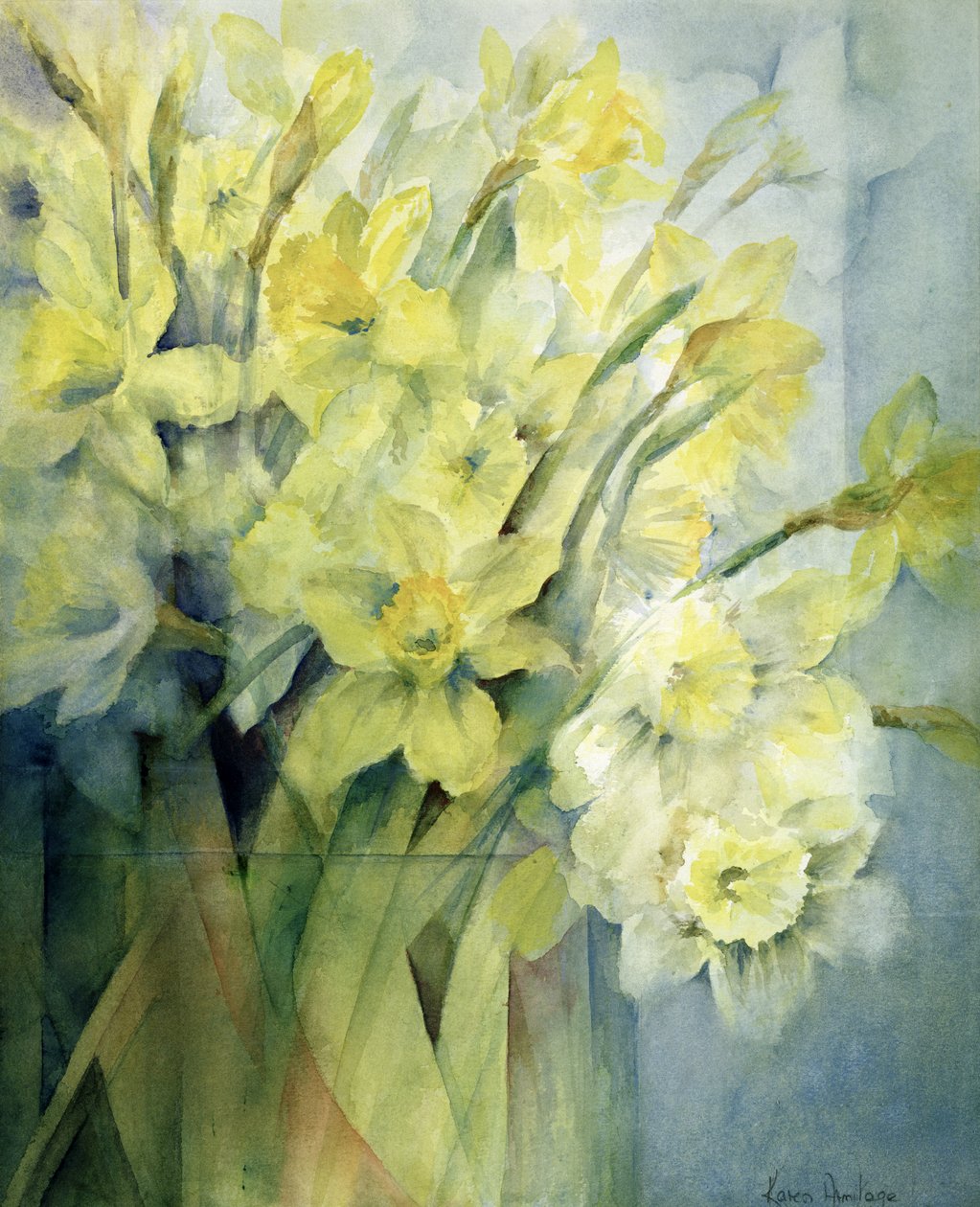 水仙花，Uncle Remis和Ice Follies 作者 卡伦·阿米蒂奇（Karen Armitage）