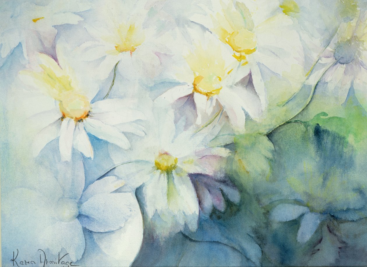雏菊，沙斯塔 作者 卡伦·阿米蒂奇（Karen Armitage）