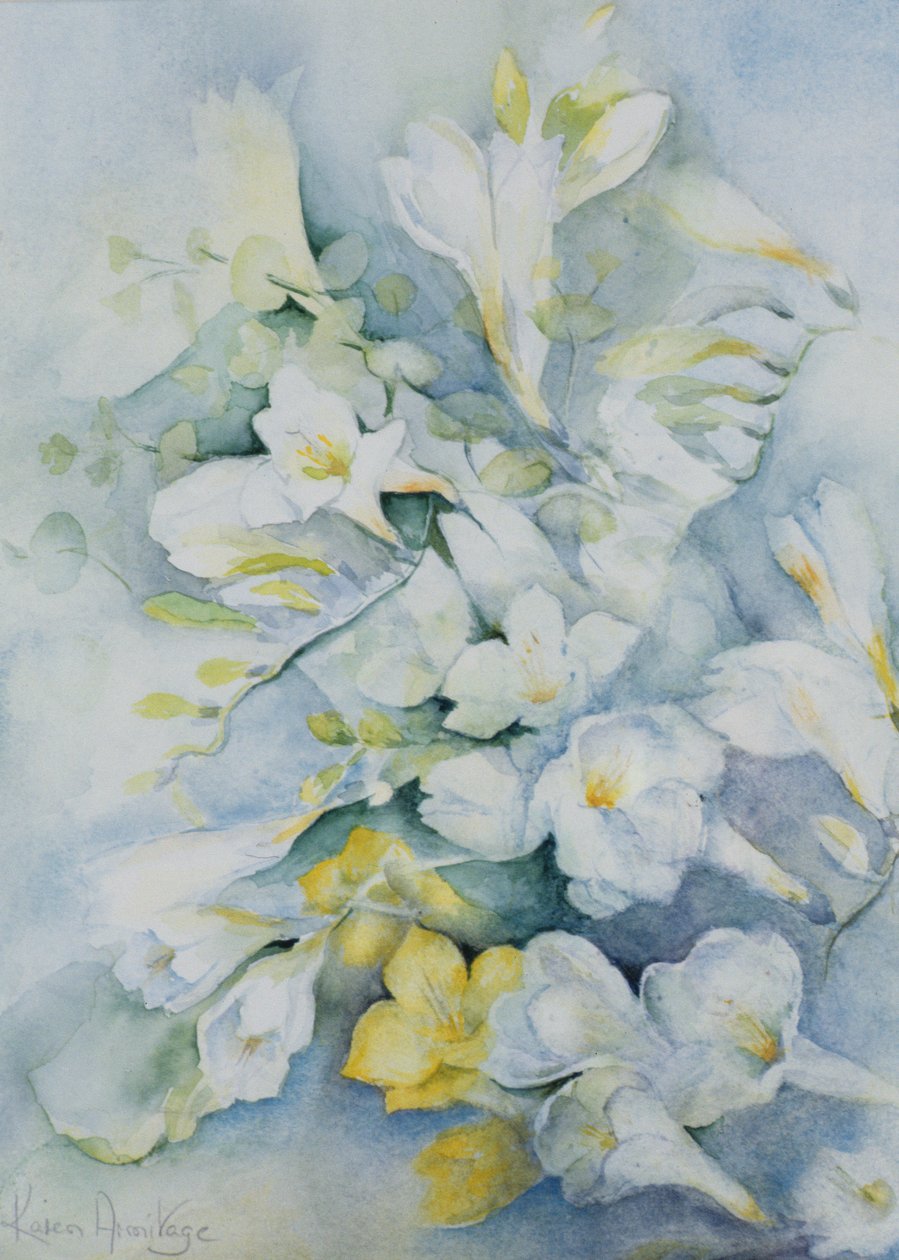 Freesia Eldus，巨人白 作者 卡伦·阿米蒂奇（Karen Armitage）