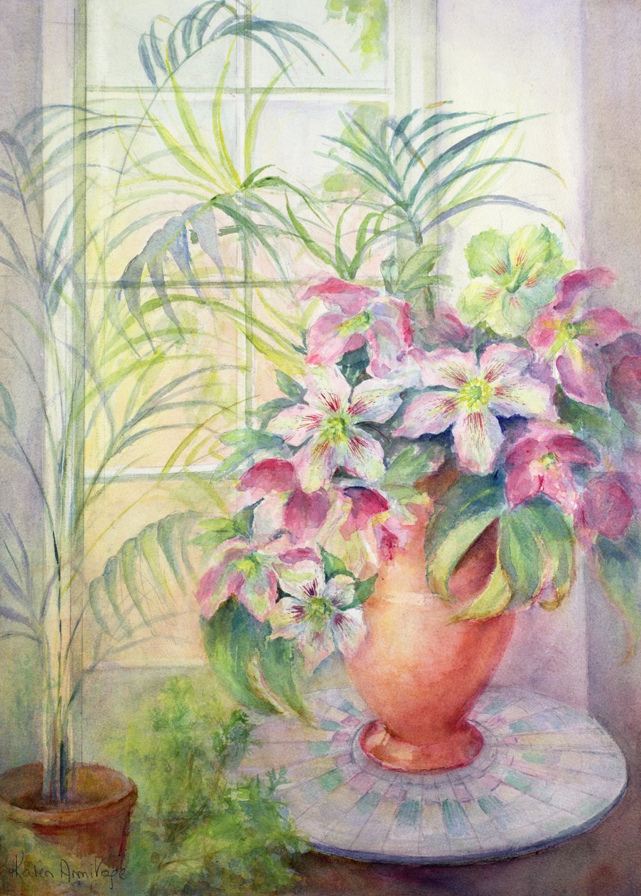 在意大利表上的黑黎芦 作者 卡伦·阿米蒂奇（Karen Armitage）