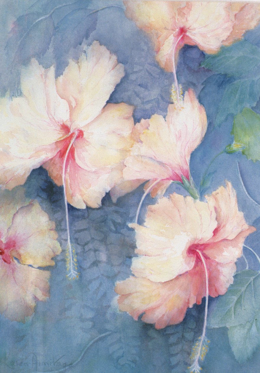 杏，杏 作者 卡伦·阿米蒂奇（Karen Armitage）
