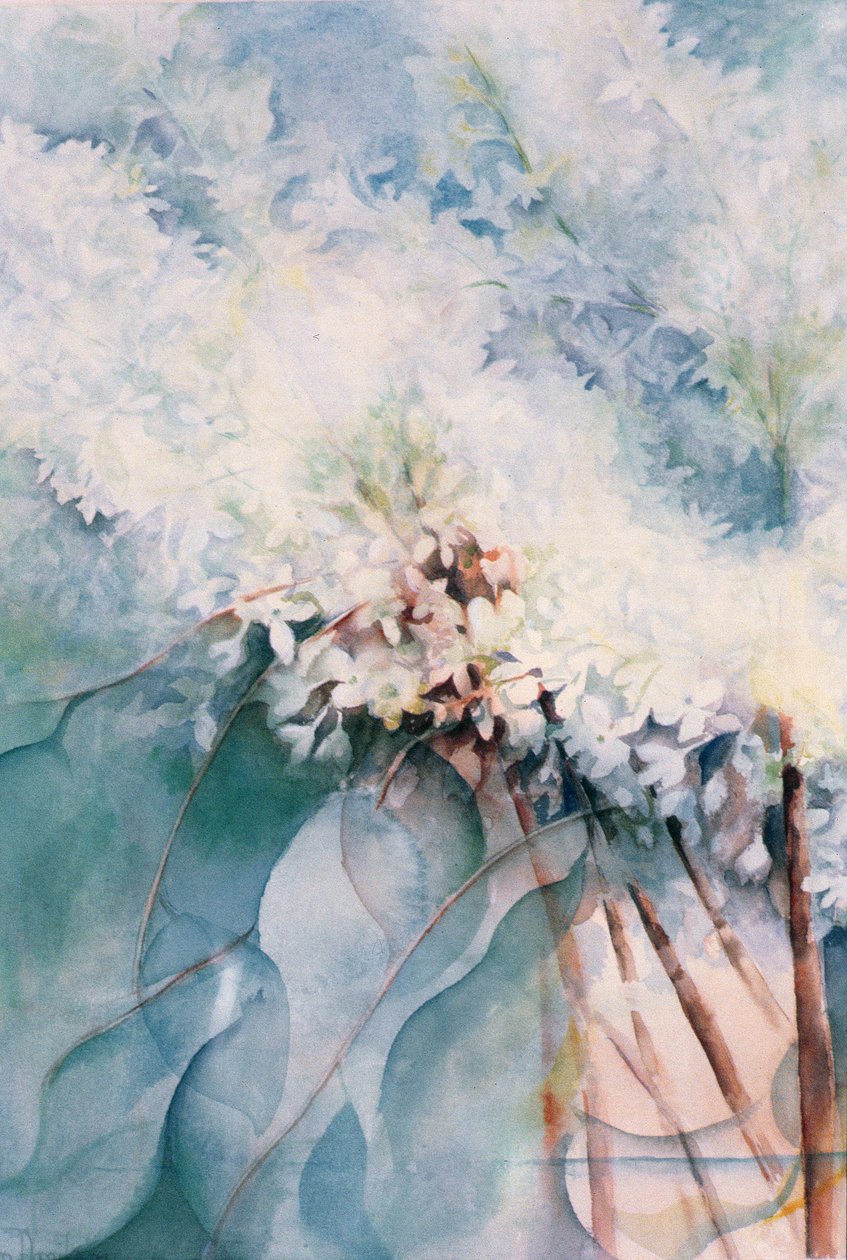 丁香，莫德诺夫 作者 卡伦·阿米蒂奇（Karen Armitage）