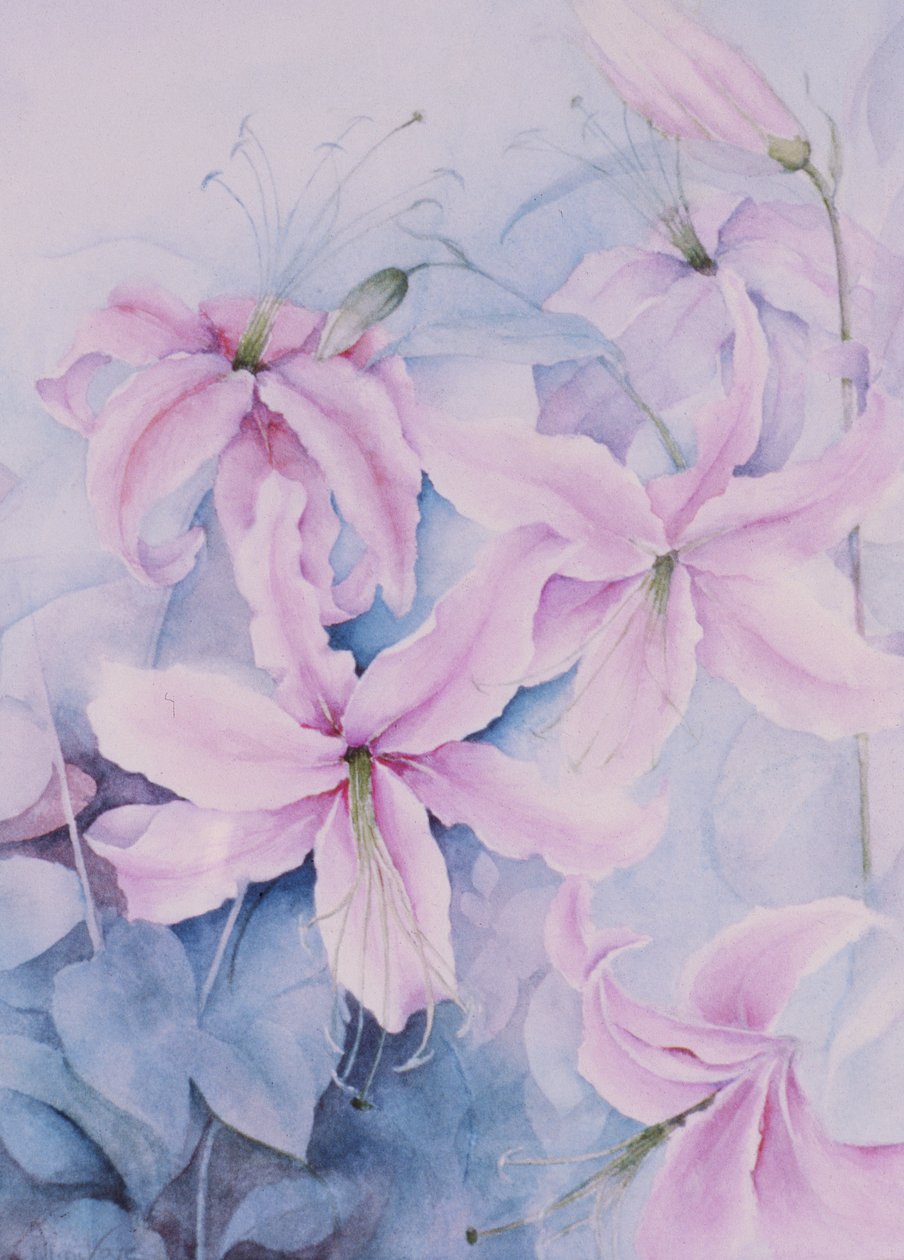 百合，粉，镀金 作者 卡伦·阿米蒂奇（Karen Armitage）