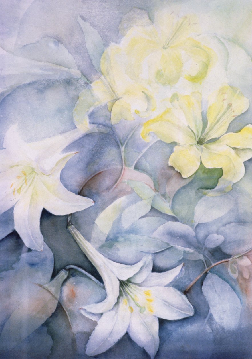 Lilium，Hearts Desire和Imperiale 作者 卡伦·阿米蒂奇（Karen Armitage）