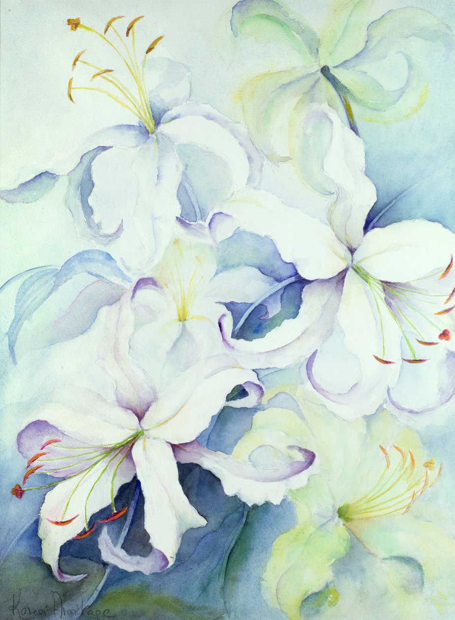 百合，帝国金 作者 卡伦·阿米蒂奇（Karen Armitage）