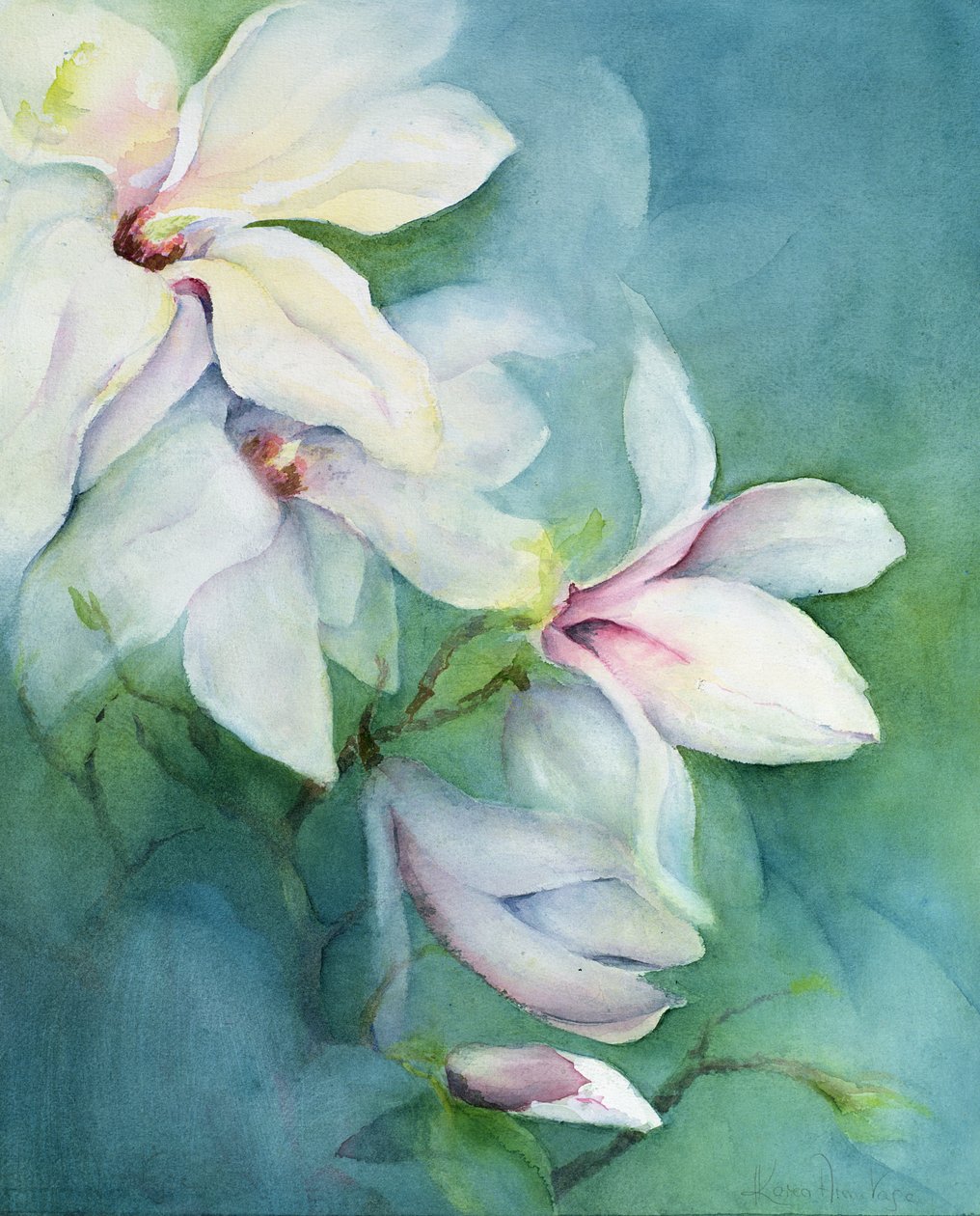 木兰Dedudata 作者 卡伦·阿米蒂奇（Karen Armitage）