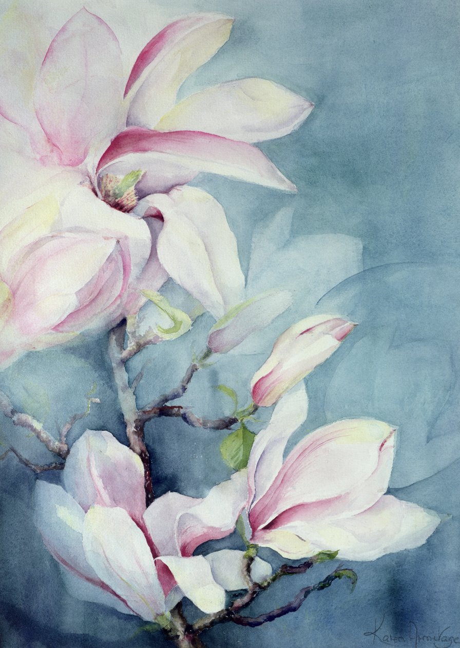 Magnolia Soulangeana（垂直） 作者 卡伦·阿米蒂奇（Karen Armitage）