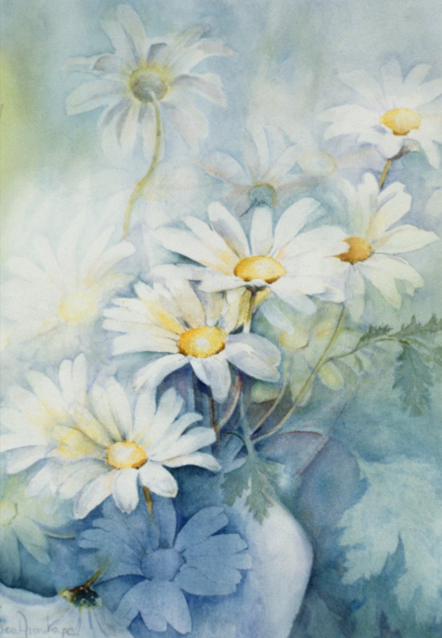 雏菊，亚历山大 作者 卡伦·阿米蒂奇（Karen Armitage）