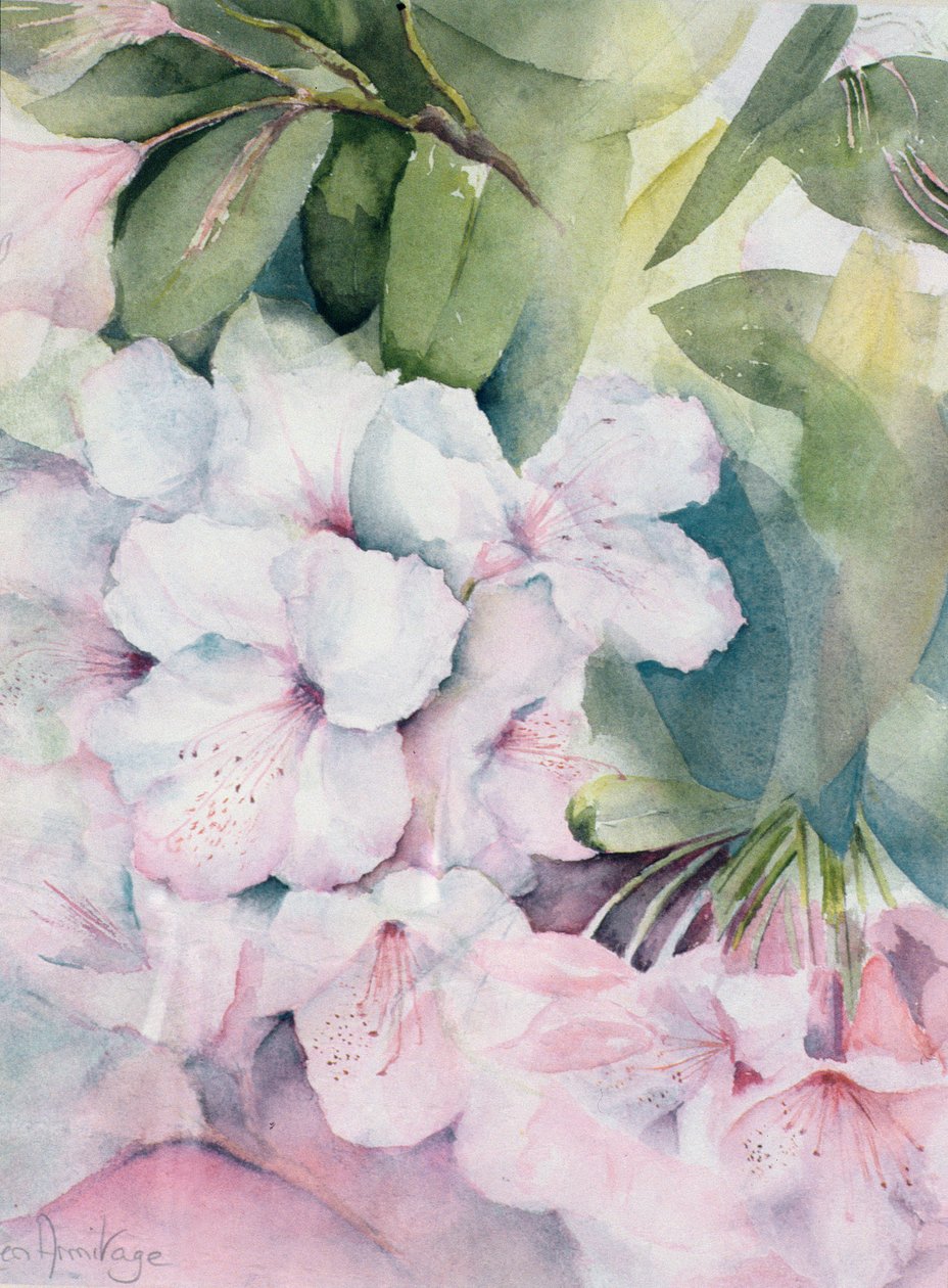 晨魔 作者 卡伦·阿米蒂奇（Karen Armitage）
