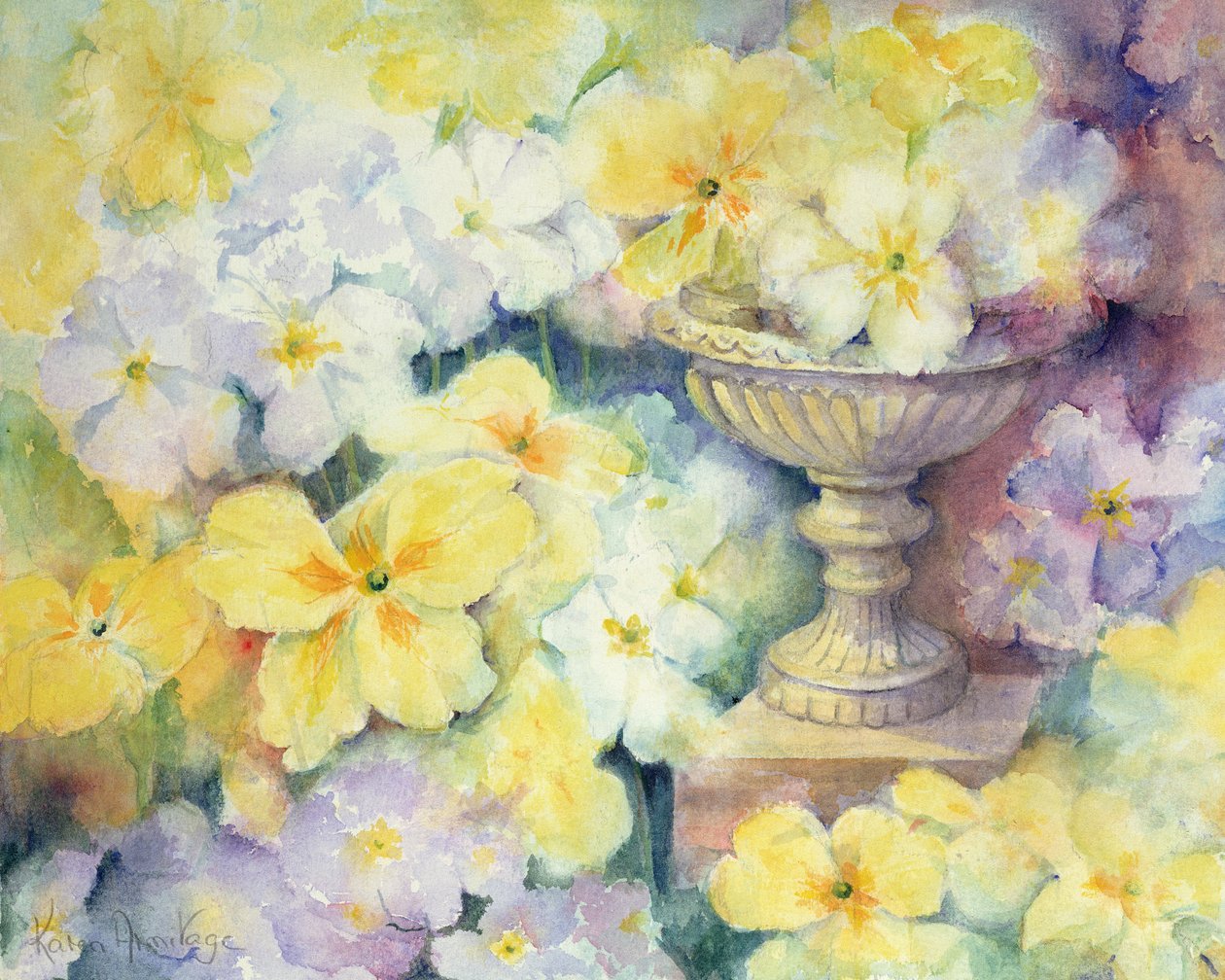 Hurst的Polyanthus 作者 卡伦·阿米蒂奇（Karen Armitage）