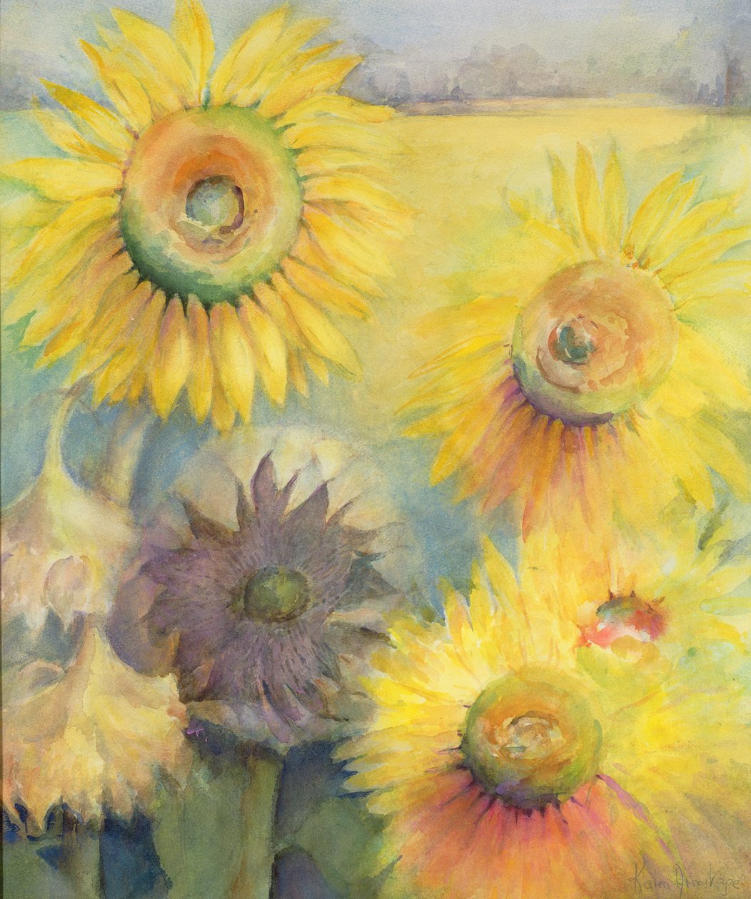 向日葵 作者 卡伦·阿米蒂奇（Karen Armitage）