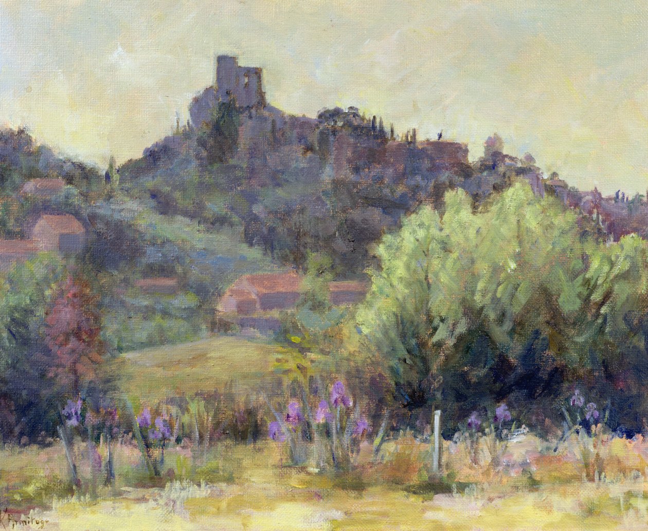 Vaucluse的Vaison La Romaine 作者 卡伦·阿米蒂奇（Karen Armitage）