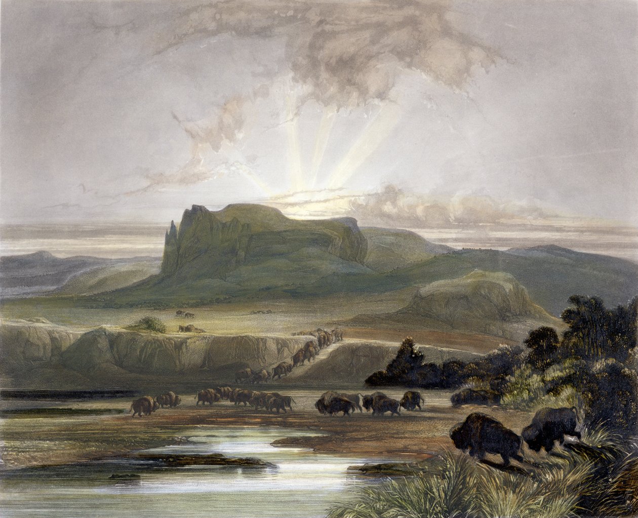 密苏里州上游的野牛群，“北美洲内陆旅行”第2卷第40页，由William James Bishop（1805-88）和Sigismond Himely（1801-72）1844年刻（aquatint） 作者 卡尔·博德默