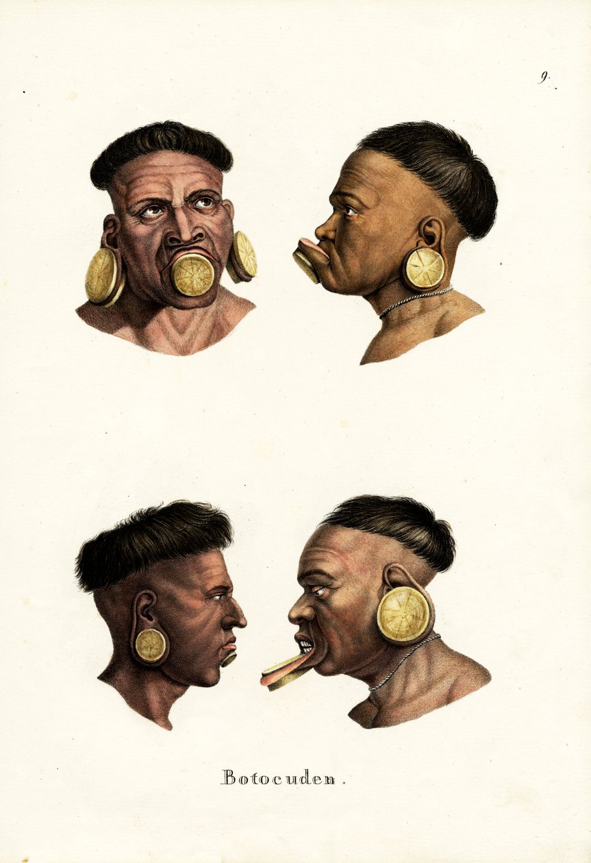 Botocudo人，1824年 作者 卡尔·约瑟夫·布罗特曼
