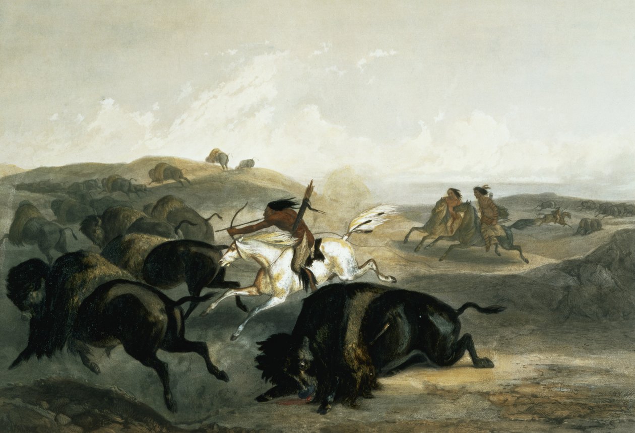 印第安人狩猎北美野牛，在“北美内陆旅行”第2卷中获得第31名，由Carl Vogel（1816-51）1844年刻（aquatint） 作者 卡尔·博德默